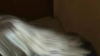 CZECH STREETS – VERONIKA