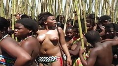 Hundreds of butt naked African women