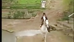 Fuck brutality lingerie #56