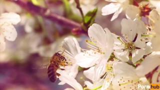 ALICIA BEE DEFLOWERS ALL GIRLS PJ PARTY WITH STRAP ON STING