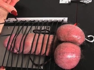 Shaft in magnificent beauty ‘s honey pot