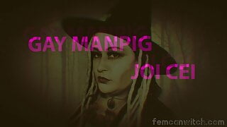 Go Totally Gay for Big Manpig Sausages