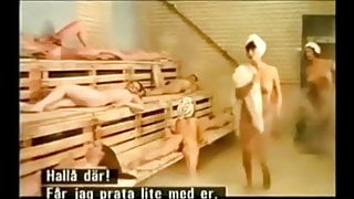 Danish Sex Comedy Excerpts