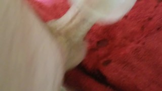 Between Quarantine, and a Curfew, Let’s Just Stay in and Fuck