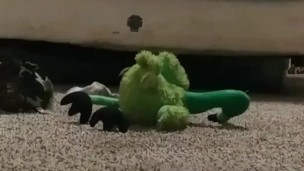 BBC sneaks in and Fucks white BBW