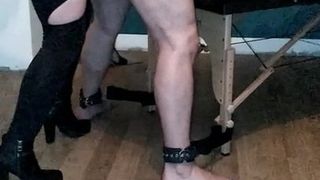 I offer my gay mare to fuck