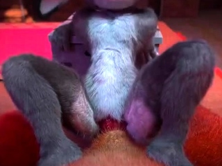 Judy Hopps Compilation